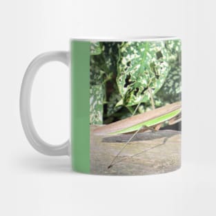 Praying Mantis No.3 Mug